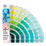 Color Bridge Coated Color Bridge Coated
